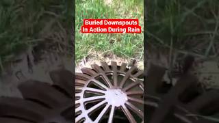 Homeowner Says Buried Downspout System Worth Every Penny Watch System in Action During Rain Event [upl. by Masuh51]