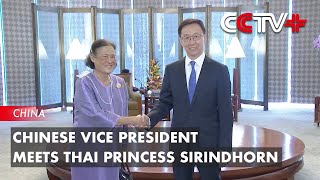 Chinese Vice President Meets Thai Princess Sirindhorn [upl. by Kele]