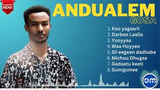 Andualem Gosa Best Music Collection [upl. by Wenz]