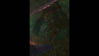 Insect Extermination theelderscrollsvskyrimanniversaryedition shortvideo [upl. by Enilesoj]