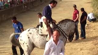 CABALLOS DE REJONEO DIEGO VENTURA ANDY CARTAGENA CORRIDA REJONES LUSITANOS HISPANO ÁRABES [upl. by Yekciv]