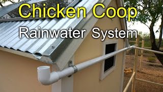 Chicken Coop Rainwater Harvesting System  How to [upl. by Fawnia]