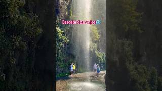 Cascata dos Anjos💦madeira portugal [upl. by Esinnej183]