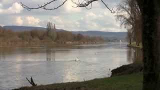 Sur les bords de la Moselle à BechKleinmacher LU ◦☼◦ [upl. by Stephani65]