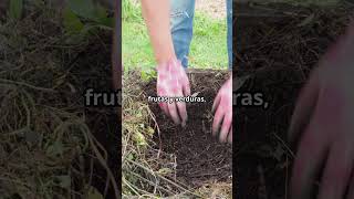 Cómo hacer compost casero ¡Abono natural huerta agricultura plantas [upl. by Phaih852]