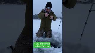 Catching Northern Pike while Ice Fishing [upl. by Kulsrud]