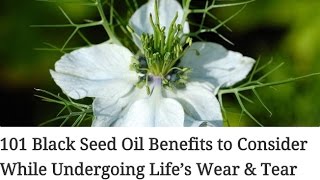 101 Black Seed Oil Benefits to Consider While Undergoing Life’s Wear amp Tear [upl. by Siekram]