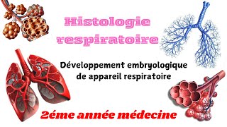 HISTOLOGIE RESPIRATOIRE  Dévlopement embryologique de appareil respiratoire 2éme année médecine [upl. by Leuqim]