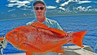 FOUR HOURS of Eating Whatever I Catch in the Gulf of Mexico Saltwater Fishing Florida [upl. by Fougere]