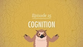 Cognition  How Your Mind Can Amaze and Betray You Crash Course Psychology 15 [upl. by Bordiuk202]