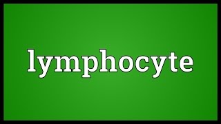 Lymphocyte Meaning [upl. by Chrisman172]