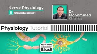 Physiology of nerve 7 Excitability changes part 1 [upl. by Noirod]