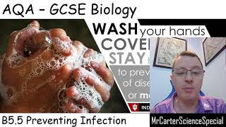 B55  Preventing Infection  AQA Biology GCSE 91 [upl. by Eanel699]