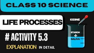 Activity 53  Class 10  Science  Chapter 5  Life Processes Explanation  NCERT Activities [upl. by Alexio]