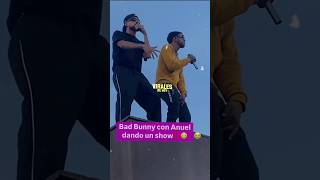 Bad Bunny ❌️ Anuel AA EN VIVO  VIRAL 2024 badbunny anuelaa viral [upl. by Yrelav]