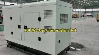 25kw Gas generator setscng Lpg biogasnatural [upl. by Chitkara277]