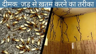 How to get rid of termites  Deemak control treatment  pest control anti termites treatment [upl. by Ojyram]