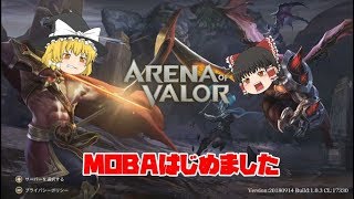 【ARENA OF VALOR】まずは使いたいヒーローの特徴をつかもう【ゆっくりMOBA】 [upl. by Netsruk137]