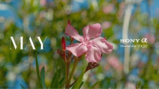 May  SONY FX30  Sigma 1850MM F28  4K Cinematic Film [upl. by Humbert]