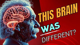 Shocking discoveries from Einsteins brain examination [upl. by Akemat]