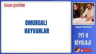 OMURGALI HAYVANLAR  TYT BİYOLOJİ  9SINIF BİYOLOJİ  YKS 2025 [upl. by Wendi]