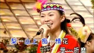 Timi Zhuo 卓依婷  小萍萍 Xiao Ping Ping  梨山痴情花 Li Shan Chi Qing Hua [upl. by Ecienaj481]