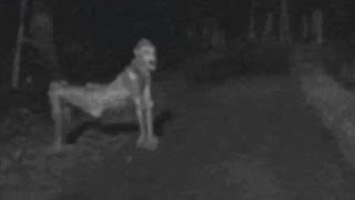 Recent NM skinwalker photo ignites fear [upl. by Oliric]