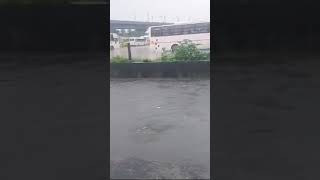 Chennai velachery veerangal odai 2024 TN Rain [upl. by Anoerb]