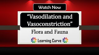 Vasodilation and Vasoconstriction Thermoregulation  Biology  GCSE  In Hindi  Explained [upl. by Atlanta]