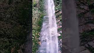 Himachal Tour somjitbhattacharyya ytshorts youtubeshorts travel [upl. by Lewak]