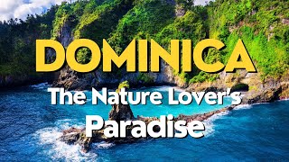 Dominica Travel 2023 🐠 Most Beautiful Places to Visit Majestic Waterfalls Hiking and Diving Spots [upl. by Yukio]