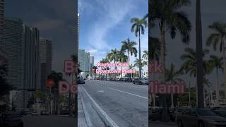 Bayfront Park  Downtown Miami thingstodomiami miamithingstodo miamibeach bayfrontpark miami [upl. by Yrrep]