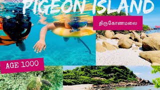 Pigeon island  Snorkeling  Trincomalee  Sri lanka  srilanka travel [upl. by Adnorahs]