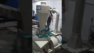 10HP IMPACT PULVERISERBESAN GRINDERTURMERIC GRINDERSATTU GRINDER [upl. by Avin232]