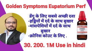 Eupatorium Perfoliatum Q30200 1M use in hindi Best medicine for Dengue  influenza chikungunya [upl. by Bink673]