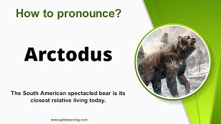 How to pronounce Arctodus Correctly in English [upl. by Manard664]