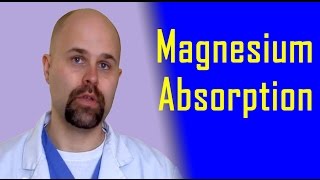 Magnesium Absorption [upl. by Annawahs699]