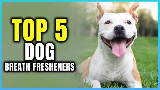 Top 5 Best Dog Breath Fresheners  Extreme Reviewer [upl. by Hanzelin388]