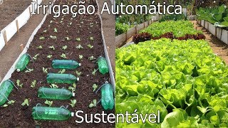 Sistema de Irrigação Automática por Gotejamento para Horta usando Garrafas Pet e Barbante 2 [upl. by Askwith]