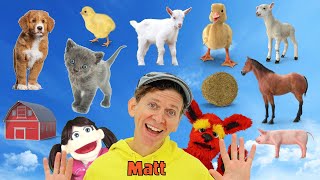 Baby Farm Animals  What Do You See Song  Find It Version  Dream English Kids [upl. by Retxed]