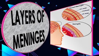 Meningeal Layers Nervous System Part 9Full Explanation in Hindi  By NG Medicals [upl. by Marylynne]