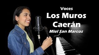 Voces Los muros caerán  Miel San Marcos [upl. by Airec985]