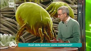 Acari della polvere come combatterli [upl. by Kerry]