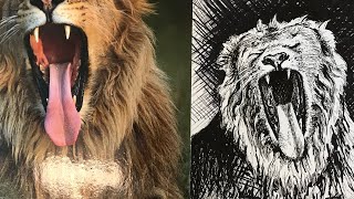 Ink Drawing Timelapse and Tutorial  Lion [upl. by Maxa]