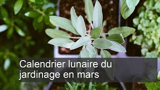 Calendrier lunaire du jardinage mars [upl. by Clarine]