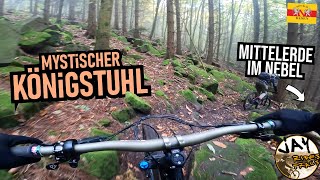 HEIDELBERG Königstuhl Mittelerde Tech amp bissl Gaisberg Falknerei Trails  Mountainbike MTB Enduro [upl. by Noillid712]