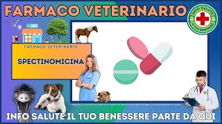 🐶 SPECTINOMICINA Farmaco Veterinario a cosa serve   Foglietto Illustrativo 👔 Dr MAX [upl. by Aivital]