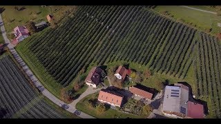 FLORA Blühendes Österreich und BirdLife Österreich fördern Insektenschutz [upl. by Liddie]