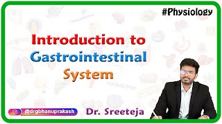 Introduction to Physiology of Gastrointestinal System  USMLE Step 1 [upl. by Amitaf]