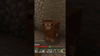 These sheep lost there rights Minecraft [upl. by Tini656]